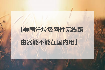 美国洋垃圾网件无线路由器能不能在国内用