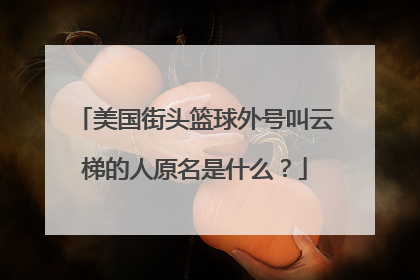 美国街头篮球外号叫云梯的人原名是什么？