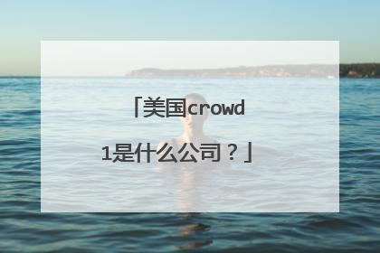 美国crowd1是什么公司?