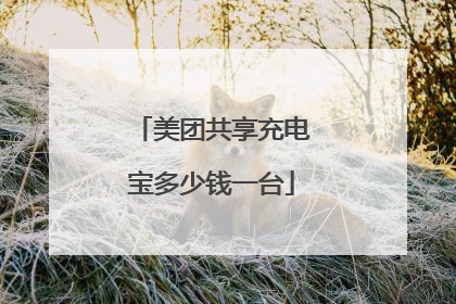 美团共享充电宝多少钱一台