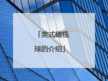 美式橄榄球的介绍