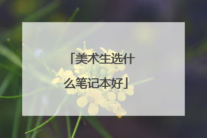 美术生选什么笔记本好