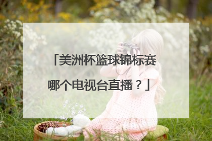 美洲杯篮球锦标赛哪个电视台直播？