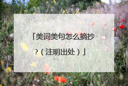 美词美句怎么摘抄?（注明出处）