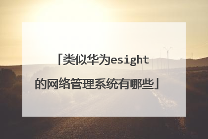 类似华为esight的网络管理系统有哪些