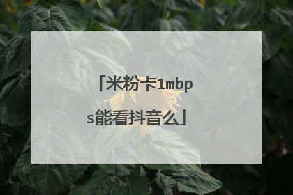 米粉卡1mbps能看抖音么