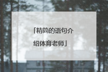 精简的语句介绍体育老师