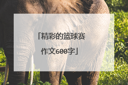 精彩的篮球赛 作文600字