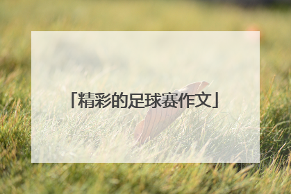 精彩的足球赛作文