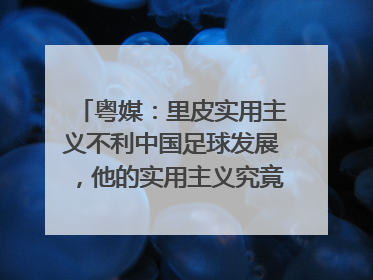 粤媒:里皮实用主义不利中国足球发展,他的实用主义究竟有何弊端?