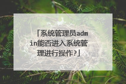 系统管理员admin能否进入系统管理进行操作?