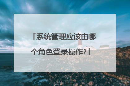 系统管理应该由哪个角色登录操作?