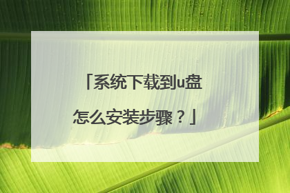 系统下载到u盘怎么安装步骤？