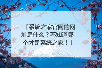 系统之家官网的网址是什么?不知道哪个才是系统之家!