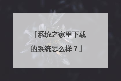 系统之家里下载的系统怎么样?