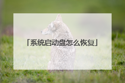 系统启动盘怎么恢复