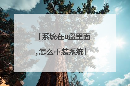 系统在u盘里面,怎么重装系统