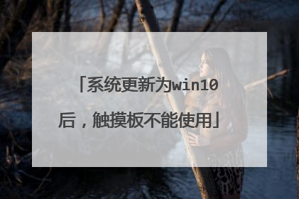 系统更新为win10后,触摸板不能使用