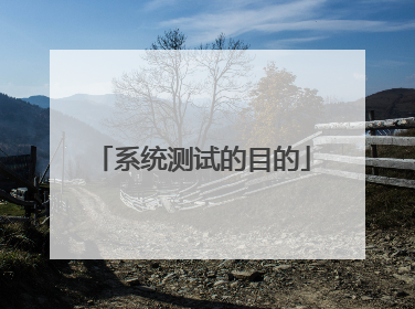 系统测试的目的
