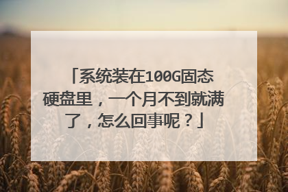 系统装在100G固态硬盘里,一个月不到就满了,怎么回事呢?