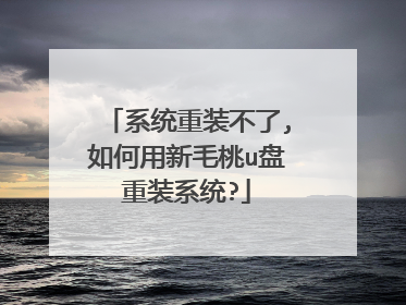 系统重装不了,如何用新毛桃u盘重装系统?