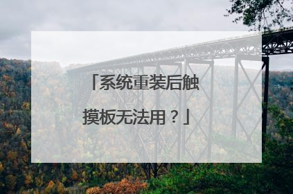 系统重装后触摸板无法用?