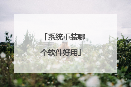 系统重装哪个软件好用