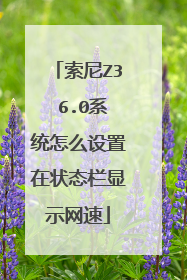 索尼Z3 6.0系统怎么设置在状态栏显示网速