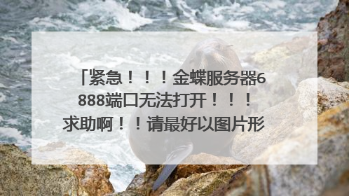 紧急!!!金蝶服务器6888端口无法打开!!!求助啊!!请最好以图片形式说明 Win7环境