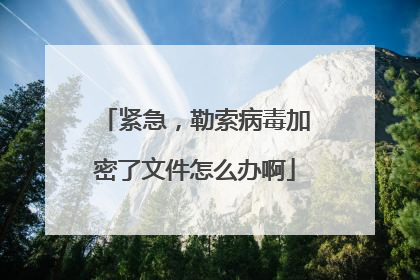 紧急，勒索病毒加密了文件怎么办啊