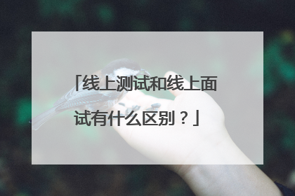 线上测试和线上面试有什么区别?