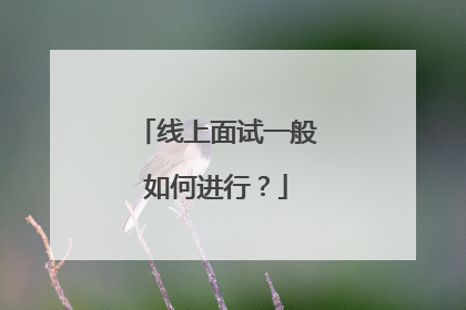 线上面试一般如何进行？