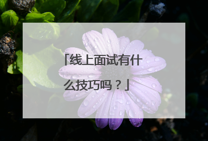线上面试有什么技巧吗?