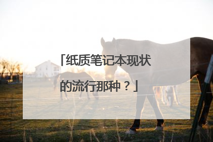 纸质笔记本现状的流行那种?
