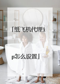 纸飞机代理ip怎么设置