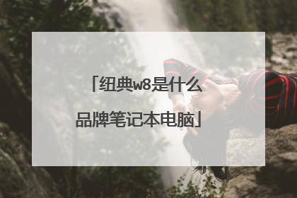 纽典w8是什么品牌笔记本电脑