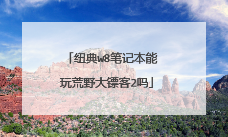 纽典w8笔记本能玩荒野大镖客2吗