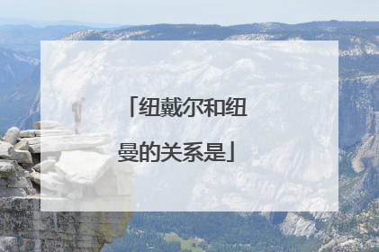 纽戴尔和纽曼的关系是