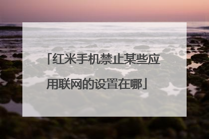 红米手机禁止某些应用联网的设置在哪