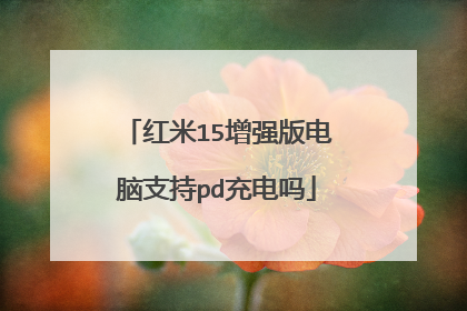 红米15增强版电脑支持pd充电吗