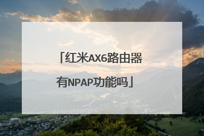 红米AX6路由器有NPAP功能吗