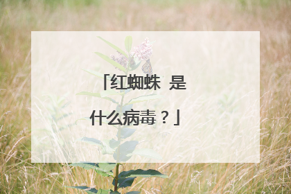 红蜘蛛 是什么病毒?