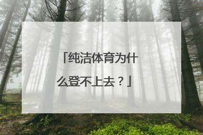 纯洁体育为什么登不上去？