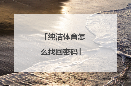 纯洁体育怎么找回密码