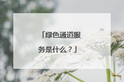 绿色通道服务是什么?
