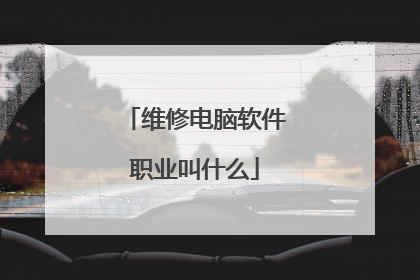 维修电脑软件职业叫什么