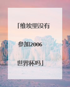 维埃里没有参加2006世界杯吗