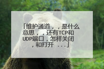 维护通道，，是什么意思，，还有TCP和UDP端口，怎样关闭，和打开 ...