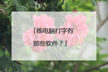练电脑打字有那些软件？