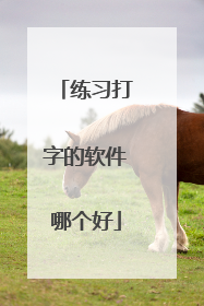 练习打字的软件哪个好